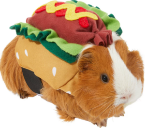 Frisco Hotdog Guinea Pig Costume, One Size, Multi Color